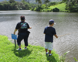 Fishing in Hawaii at Hoomaluhia Botanical Garden