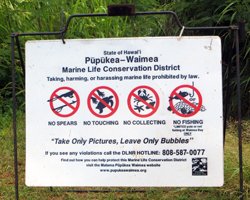 Some Areas Are Protected from Fishing in Hawaii