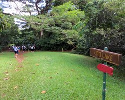 Signs Mark the Path to the Pond at Hoomaluhia for Fishing in Hawaii