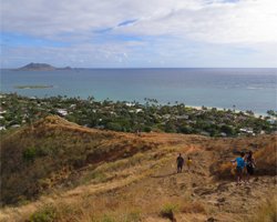 Lanikai Pillboxes Trail