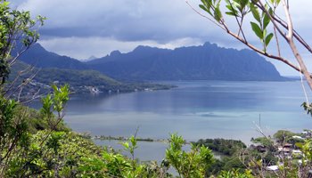 Kaneohe Bay and Kahaluu Fish Pond from Puu Maelieli Trail