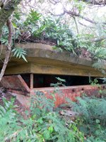 Overgrown 1st Bunker at Puu Maelieli Trail