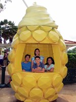 One of Many Pineapple-Themed Photo Backdrops at Dole Pineapple Plantation