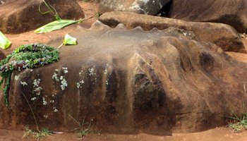 Stone with Concentric Circles Hawaiian Petroglyphs at Kukaniloko