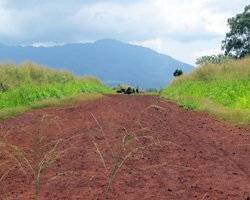 Red Dirt Road to Kukaniloko