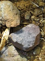 Purple Lava Rock at Koko Crater Botanical Garden