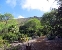Unpaved Trails at Koko Crater Botanical Garden
