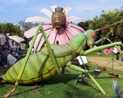 Giant Bugs Exhibit at Bishop Museum Healthy Kids Day