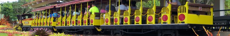 Pineapple Express Train at Dole Pineapple Plantation