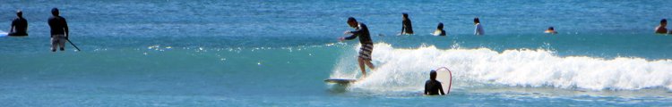 Waikiki Surfing