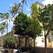 Honolulu: Cathedral of Our Lady of Peace