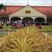 Scenic Hawaii Dole Pineapple Plantation