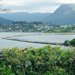 Scenic Hawaii Hawaiian Fish Ponds