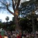 Hawaii Event Calendar Twilight Summer Concert Series at Foster Botanical Garden