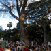 Hawaii Event Calendar Twilight Summer Concert Series at Foster Botanical Garden