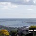 Scenic Hawaii Keaiwa Heiau State Park