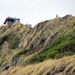 Hawaii Hiking: Lanikai Pillboxes Trail