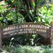 Scenic Hawaii Lyon Arboretum