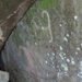 Hawaii History/Hawaii Culture Hawaii Petroglyphs