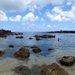 Hawaii Beaches Sharks Cove Hawaii