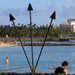 Waikiki Torch Lighting Ceremony